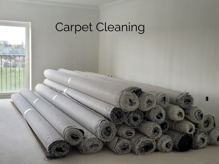 12. Carpet Care